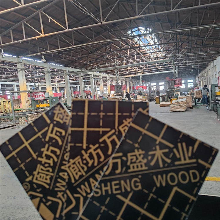 1617087642935783.jpg