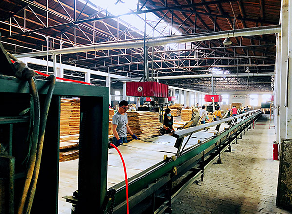 清水模板制造現場